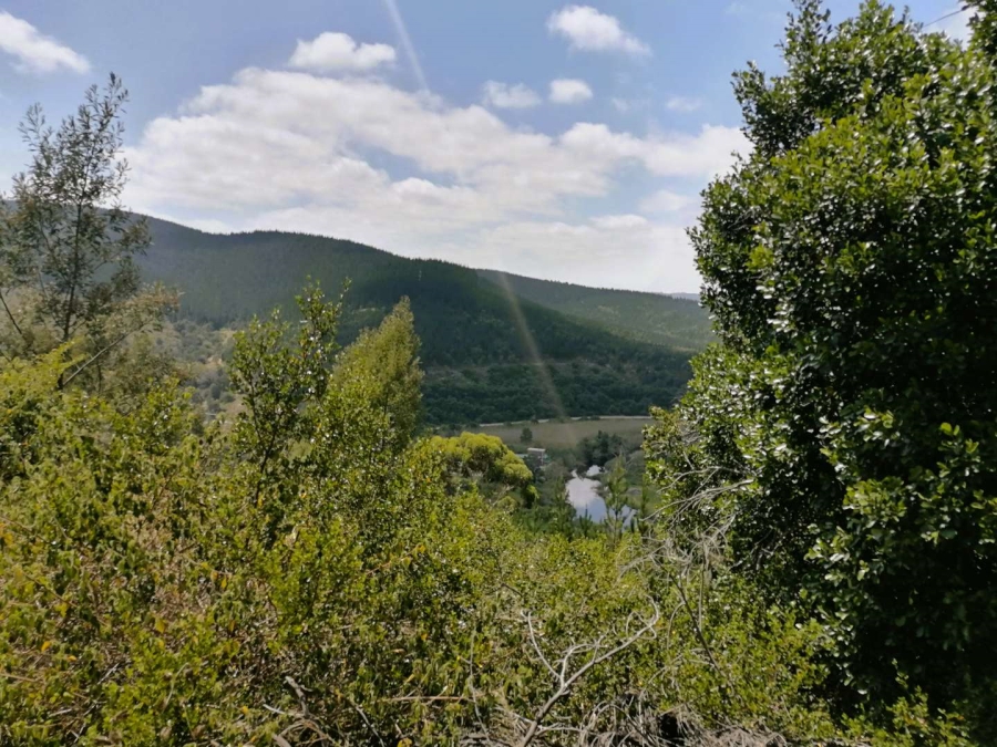 0 Bedroom Property for Sale in Sedgefield Central Western Cape